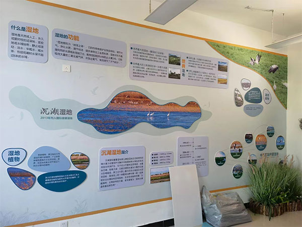 湖北沉湖濕地保護區模型